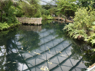 Burgers' Zoo
