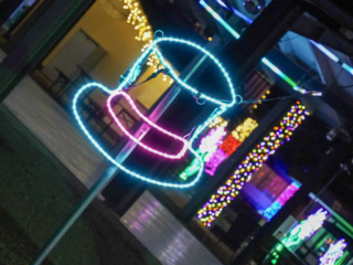 Garden of Lights Garden of Lights