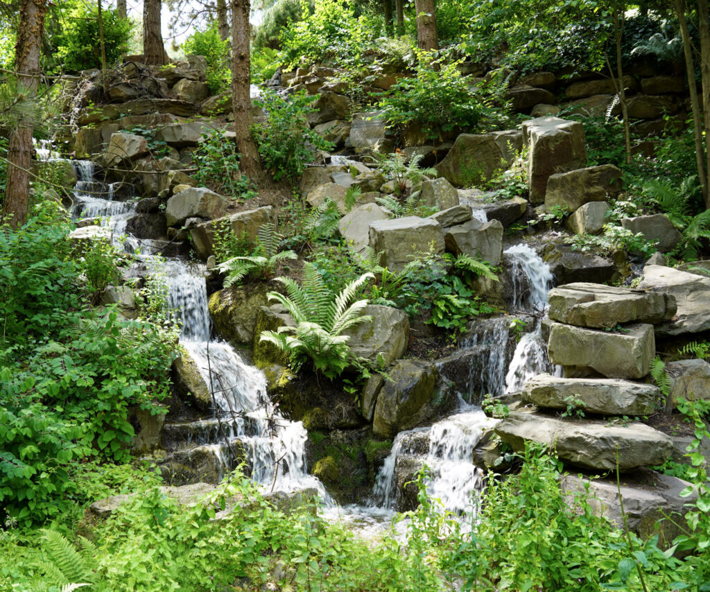 El Mundo Fantasia - Mondo Verde