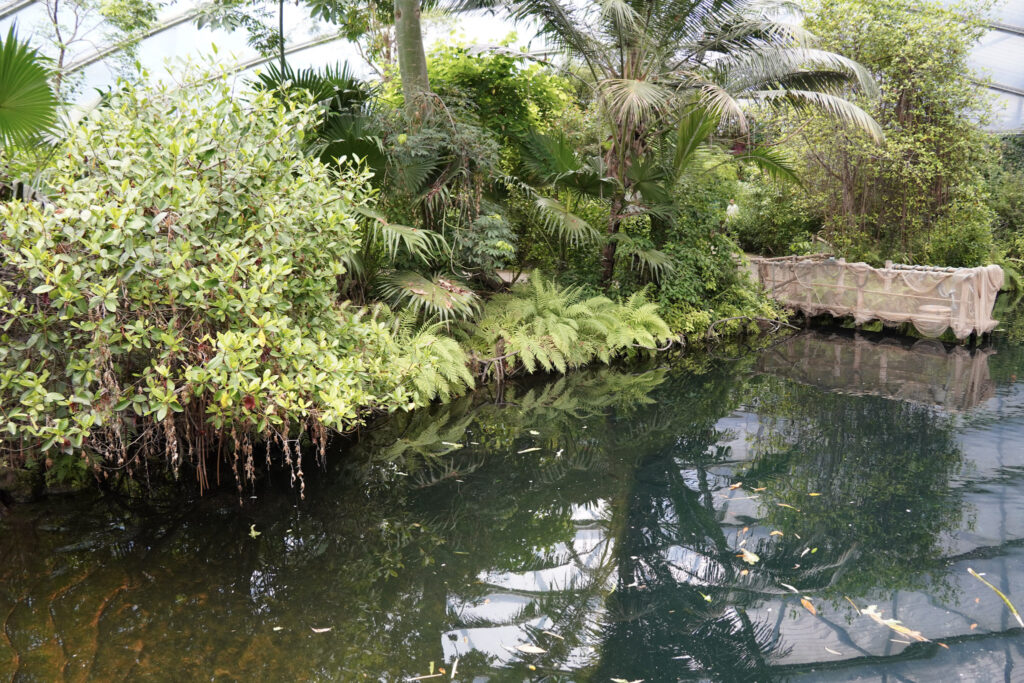 Burgers' Zoo Burgers' Zoo