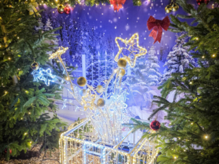 Cranger Weihnachtszauber