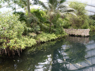 Burgers' Zoo