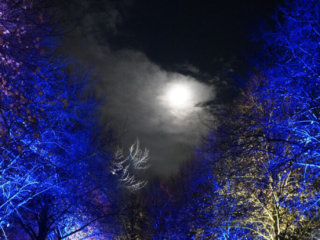 Herbstlichter Brückenkopfpark Jülich Herbstlichter Brückenkopfpark Jülich
