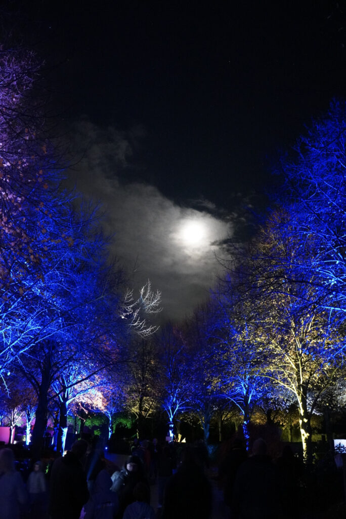 Herbstlichter Br&uuml;ckenkopfpark J&uuml;lich