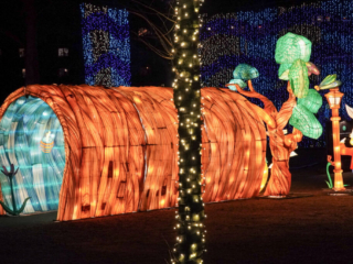 Garden of Lights Garden of Lights