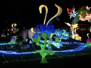 China Lights im K&ouml;lner Zoo