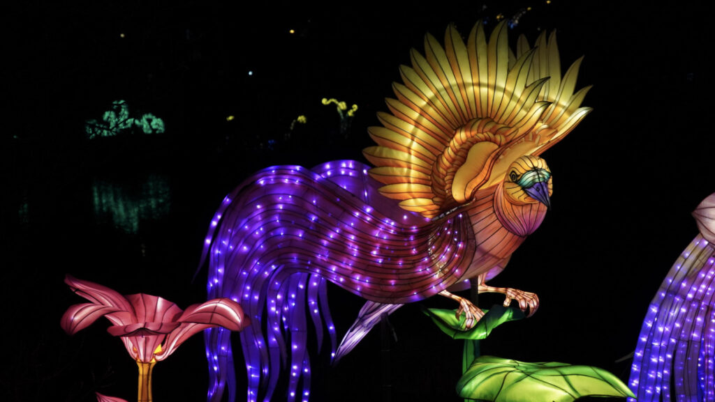 China Lights im K&ouml;lner Zoo