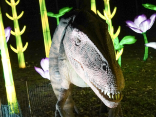 China Lights im K&ouml;lner Zoo