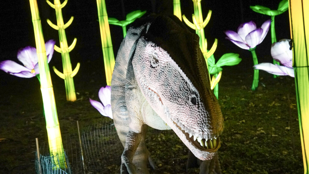 China Lights im K&ouml;lner Zoo