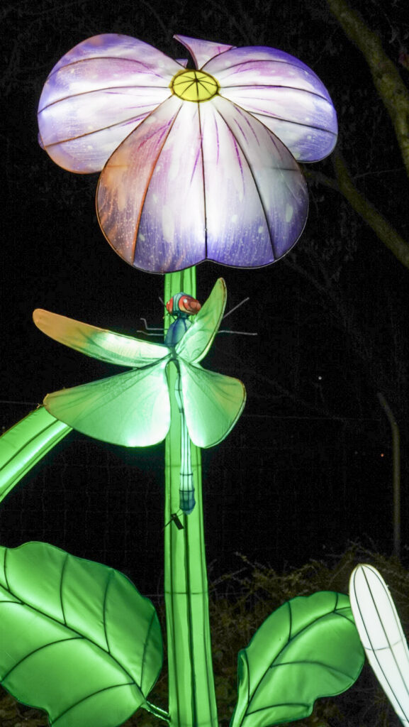 China Lights im K&ouml;lner Zoo