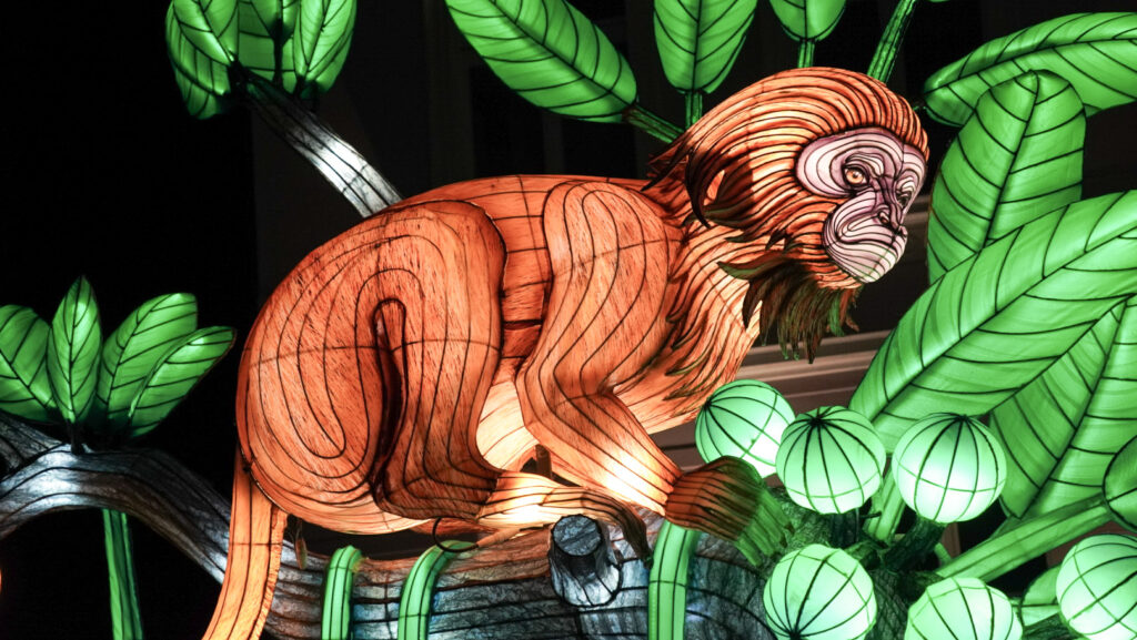 China Lights im K&ouml;lner Zoo