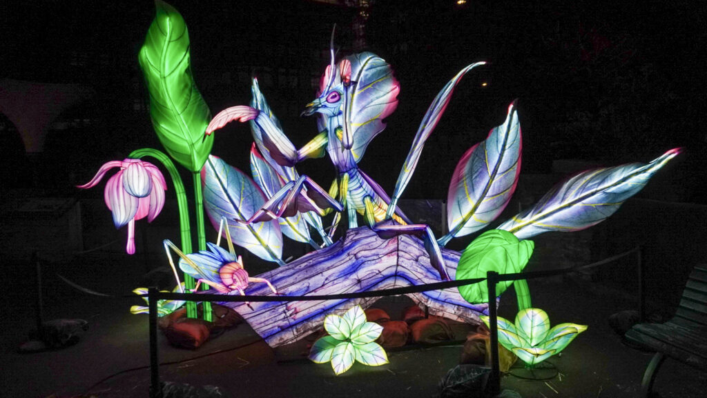 China Lights im K&ouml;lner Zoo