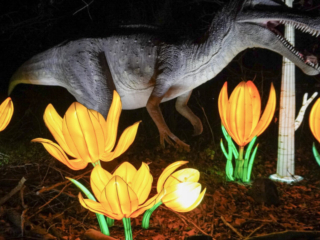 China Lights im K&ouml;lner Zoo