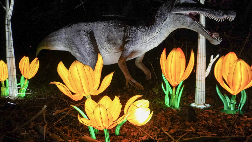 China Lights im K&ouml;lner Zoo