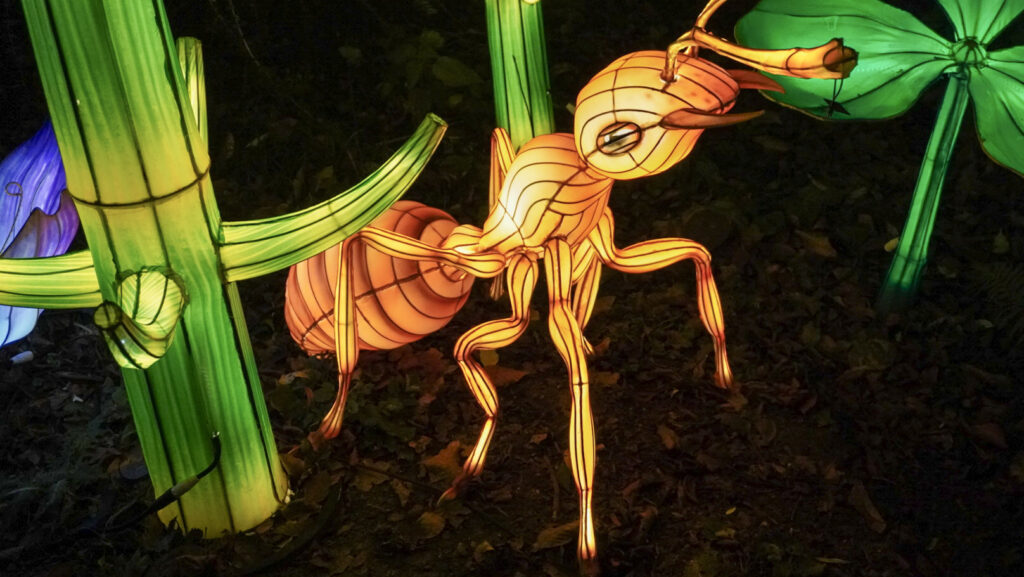 China Lights im K&ouml;lner Zoo