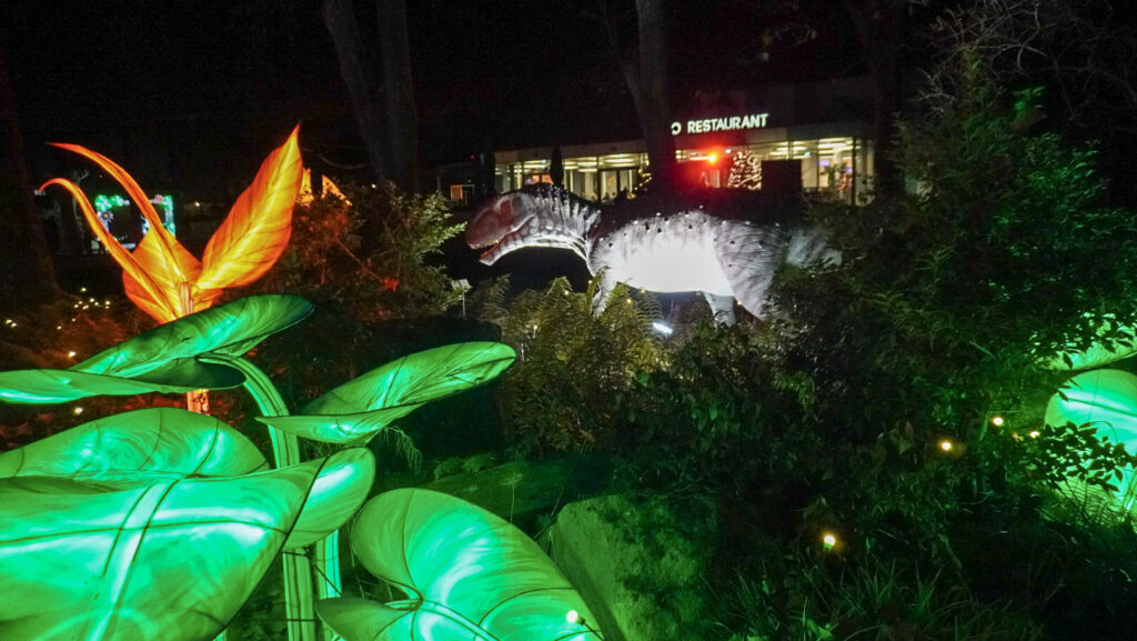 China Lights im K&ouml;lner Zoo