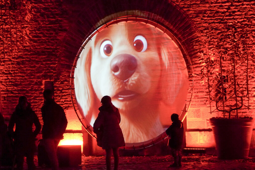 Herbstlichter Br&uuml;ckenkopfpark J&uuml;lich