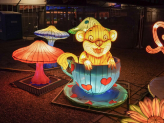Garden of Lights Garden of Lights