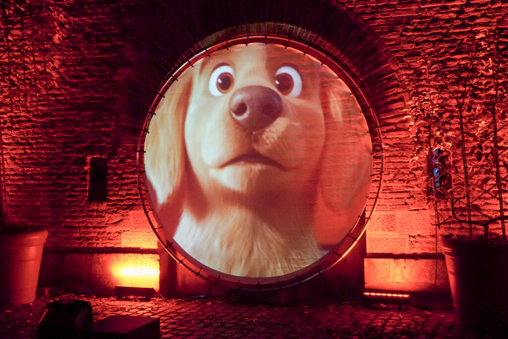 Herbstlichter Br&uuml;ckenkopfpark J&uuml;lich