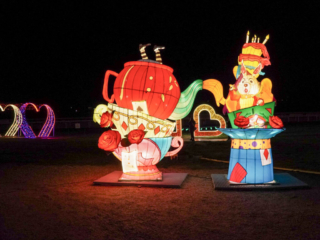 Garden of Lights Garden of Lights
