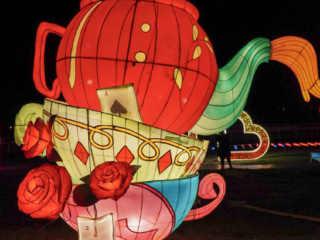 Garden of Lights Garden of Lights