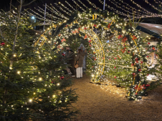 Cranger Weihnachtszauber