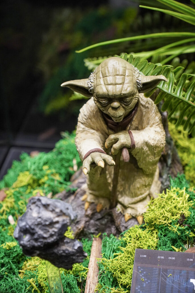 The Fans Strike Back Frankfurt