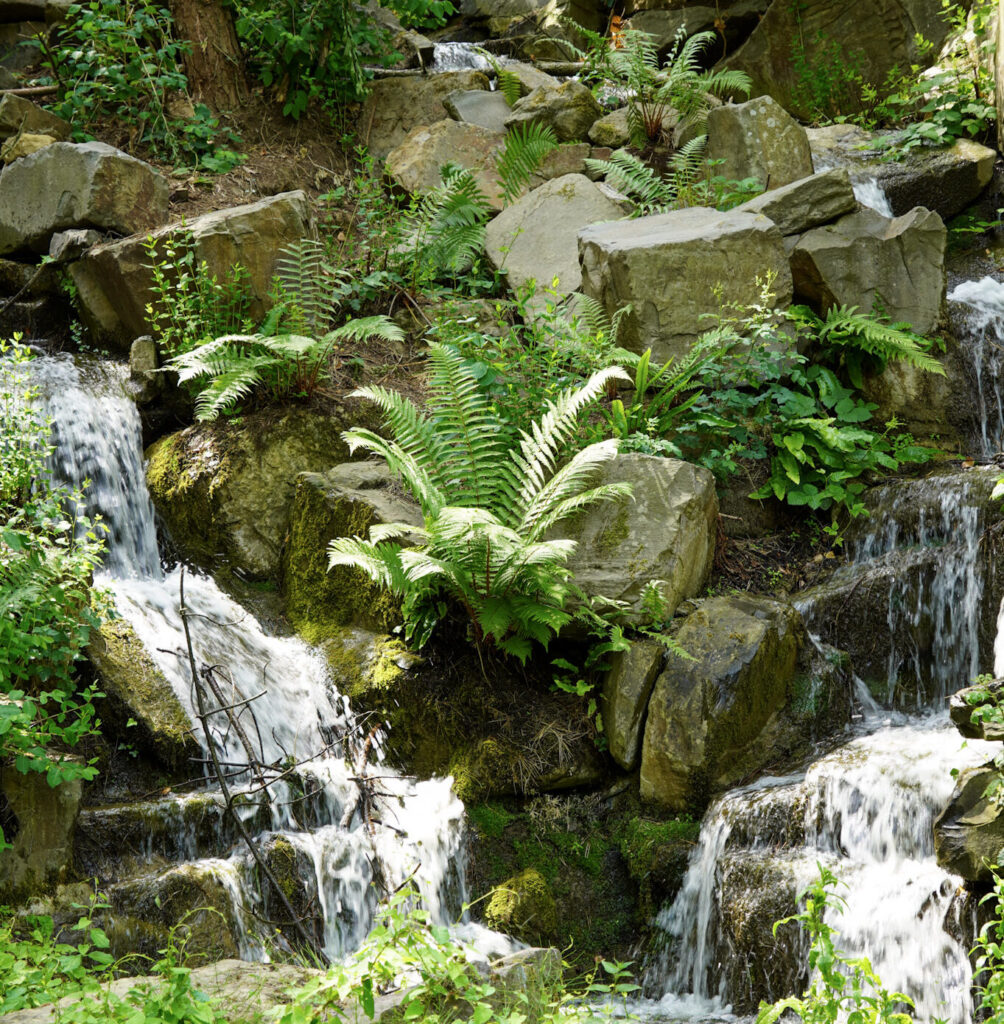 El Mundo Fantasia - Mondo Verde