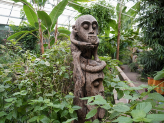 Berkenhof 's Tropical Zoo