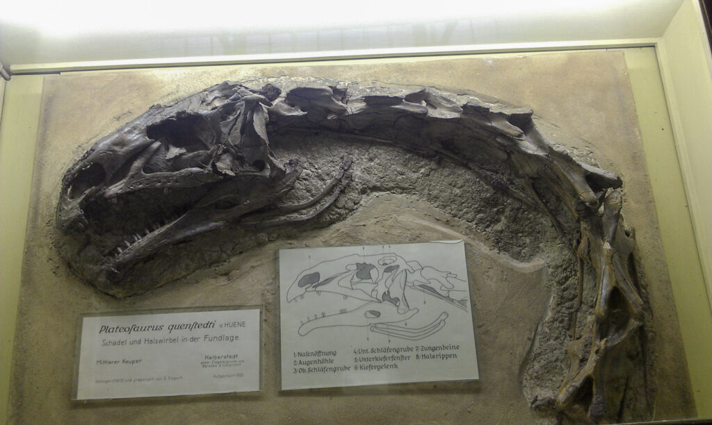 Naturkundemuseum Berlin