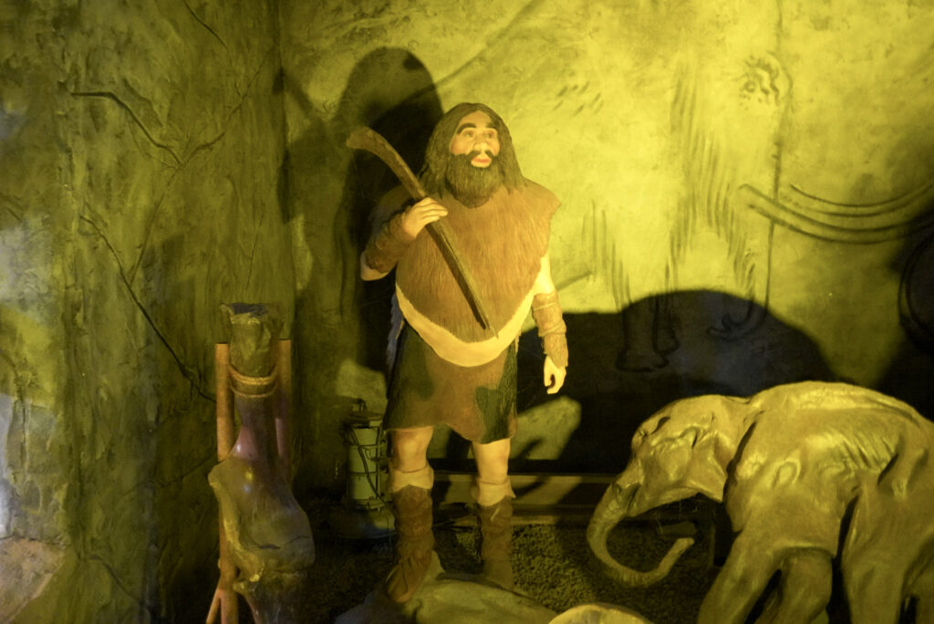 Berkenhof 's Tropical Zoo