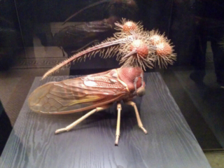 Naturkundemuseum Berlin