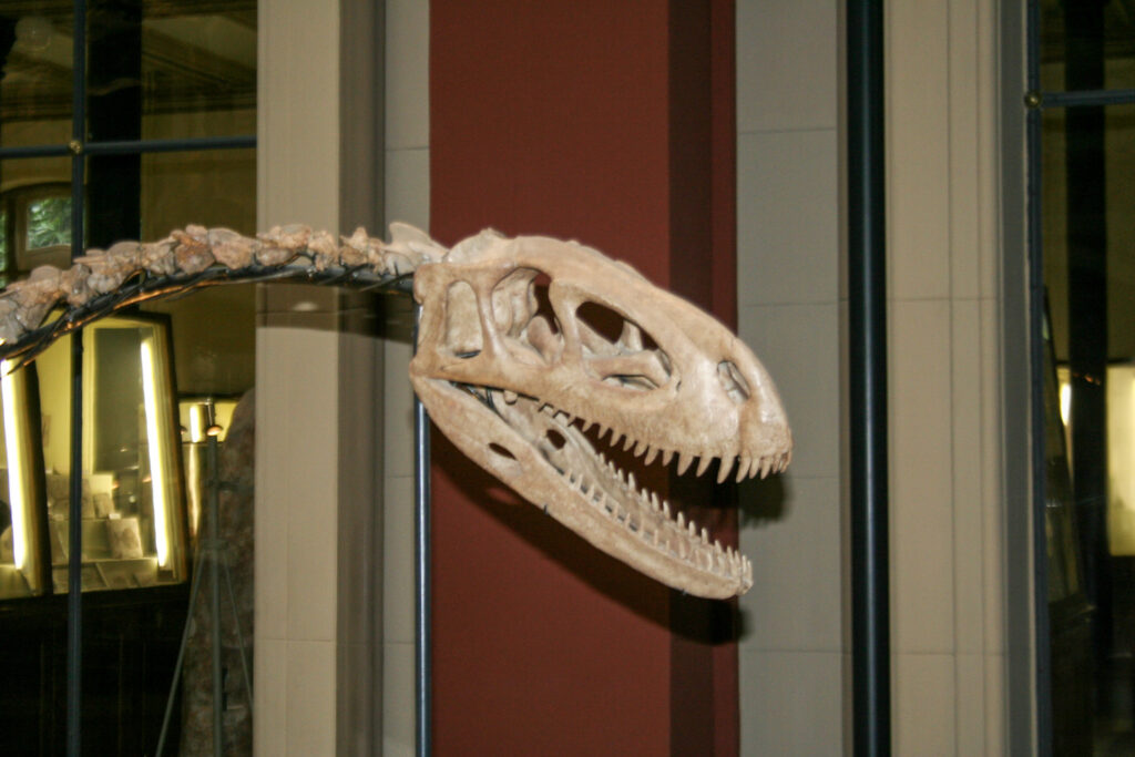 Naturkundemuseum Berlin