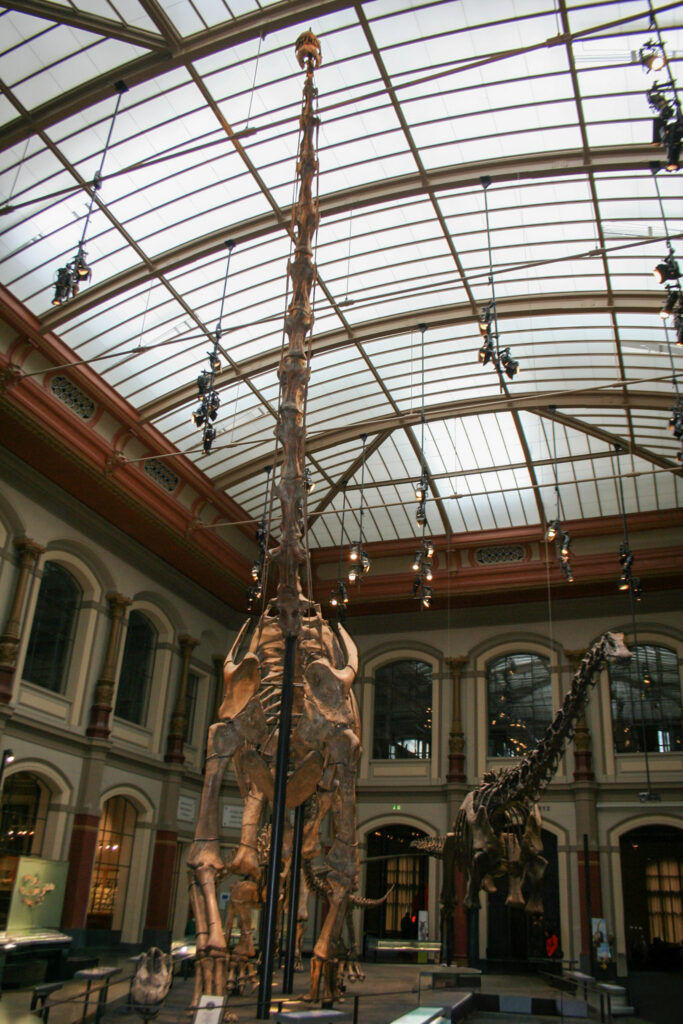 Naturkundemuseum Berlin