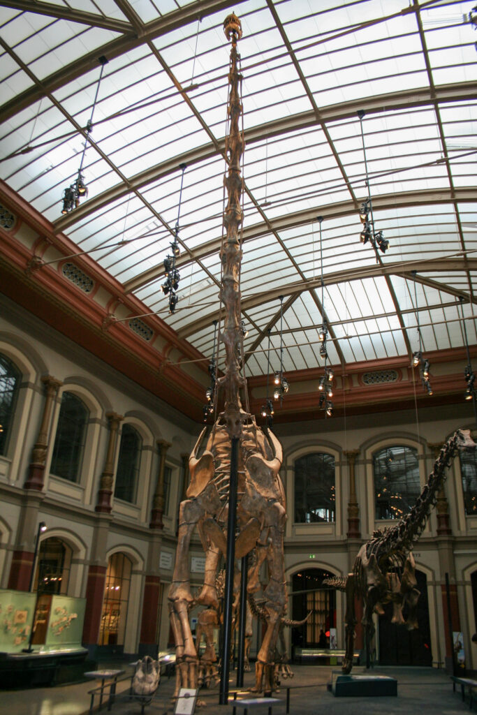 Naturkundemuseum Berlin