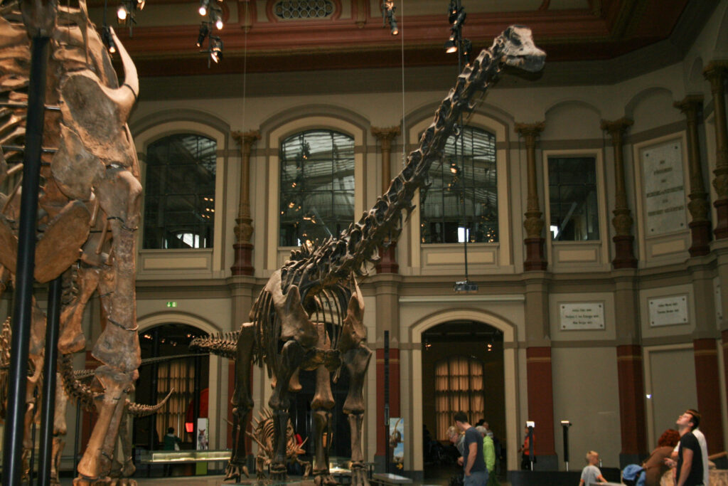 Naturkundemuseum Berlin