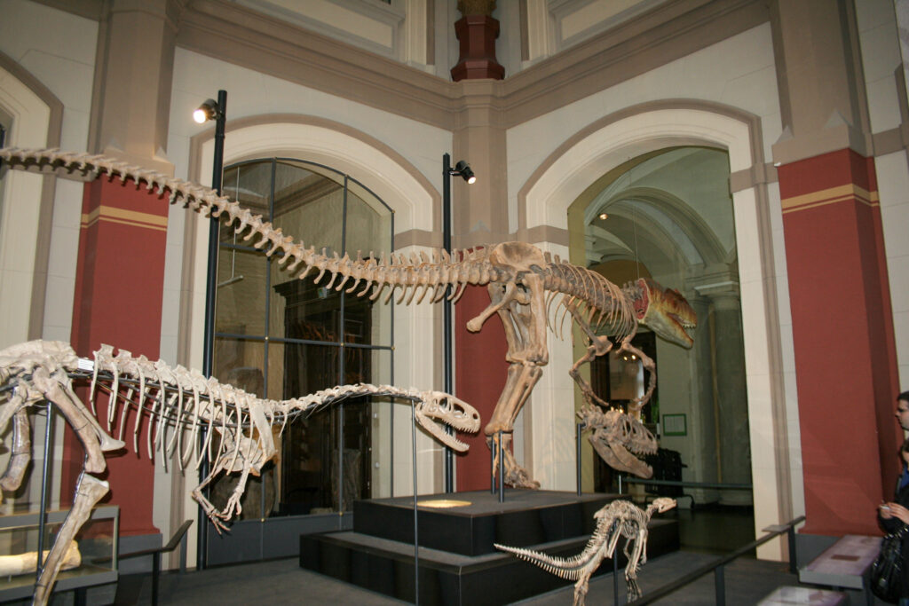 Naturkundemuseum Berlin