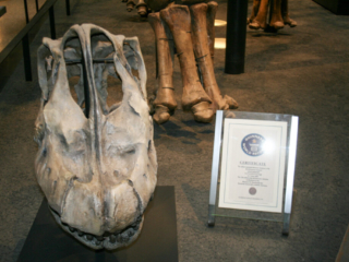 Naturkundemuseum Berlin