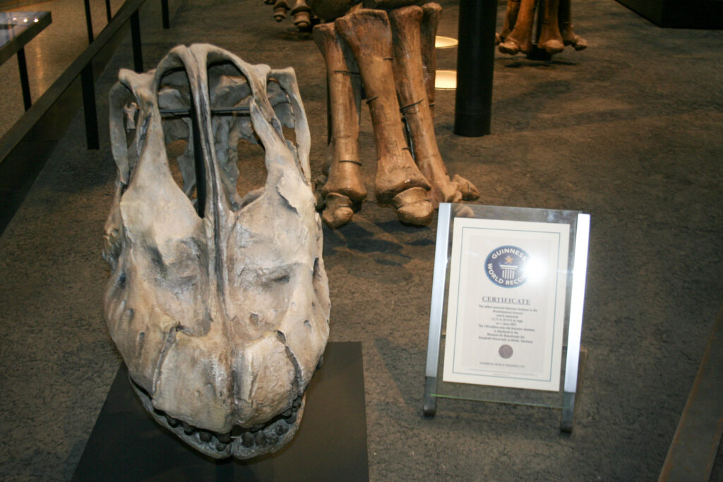 Naturkundemuseum Berlin