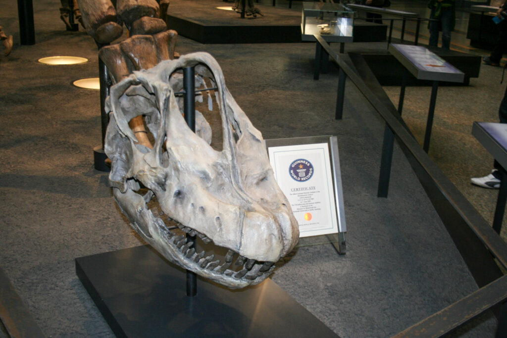 Naturkundemuseum Berlin