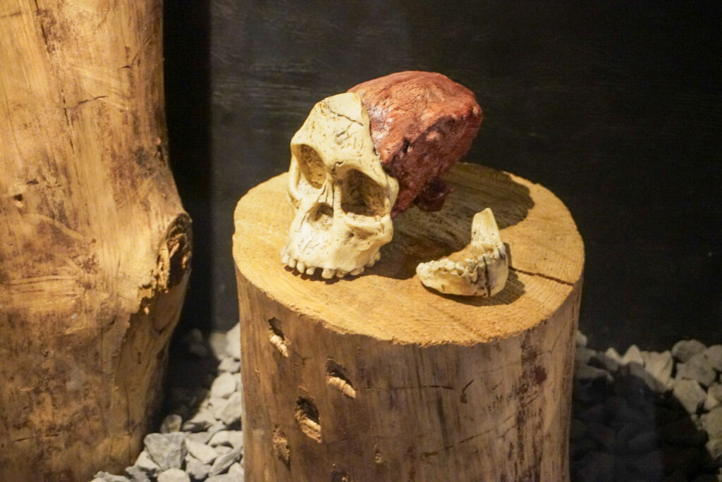 Berkenhof 's Tropical Zoo