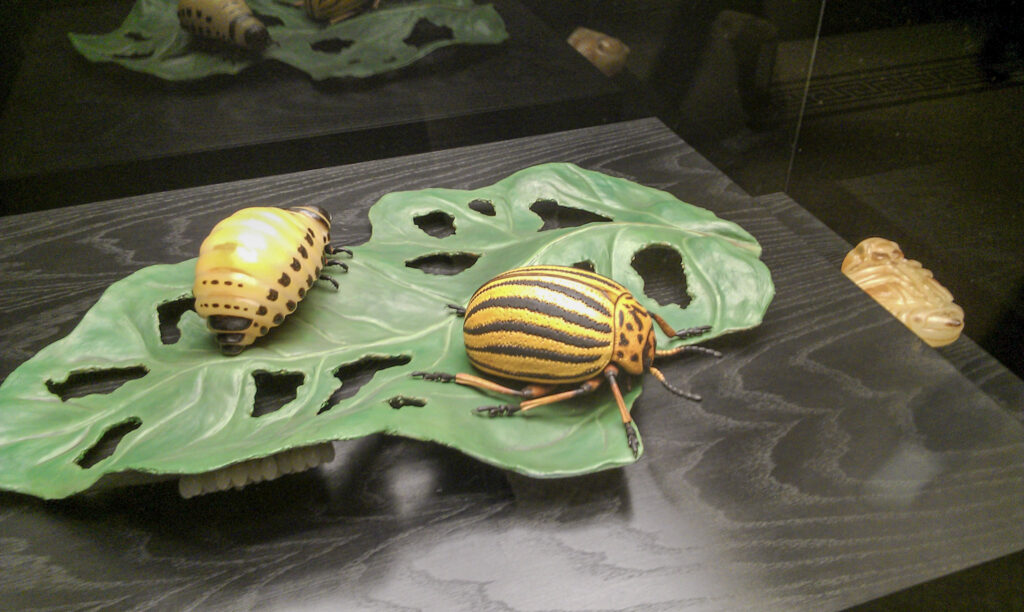 Naturkundemuseum Berlin