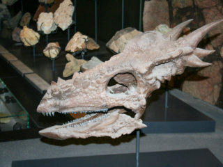 Naturkundemuseum Berlin