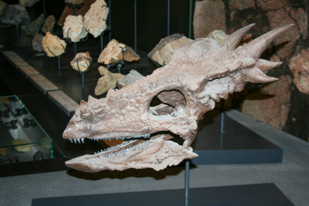 Naturkundemuseum Berlin