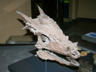 Naturkundemuseum Berlin