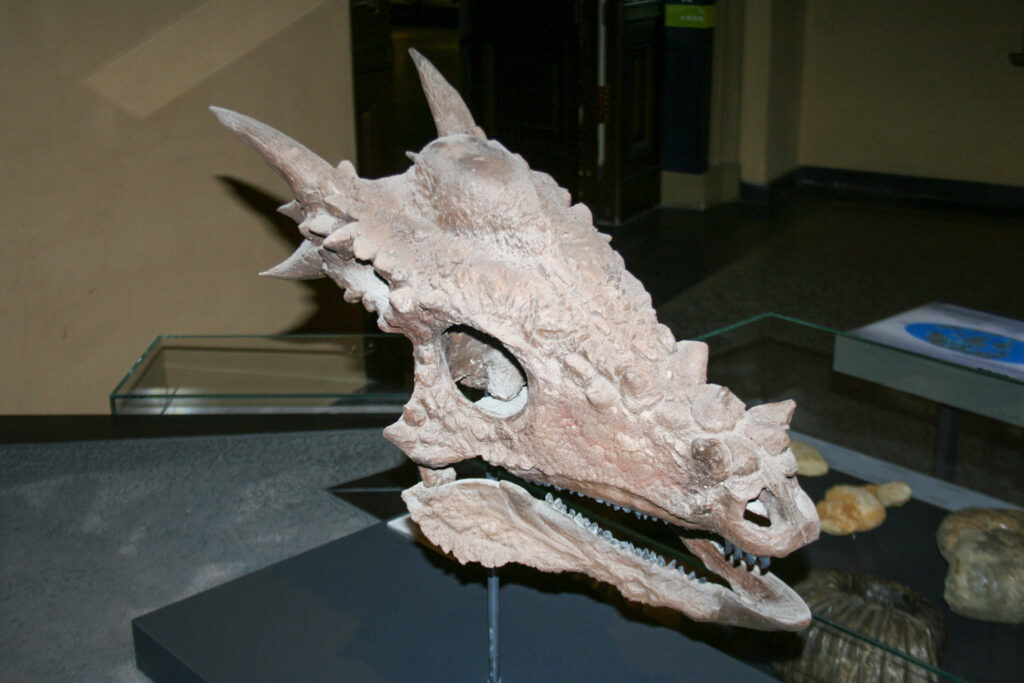 Naturkundemuseum Berlin