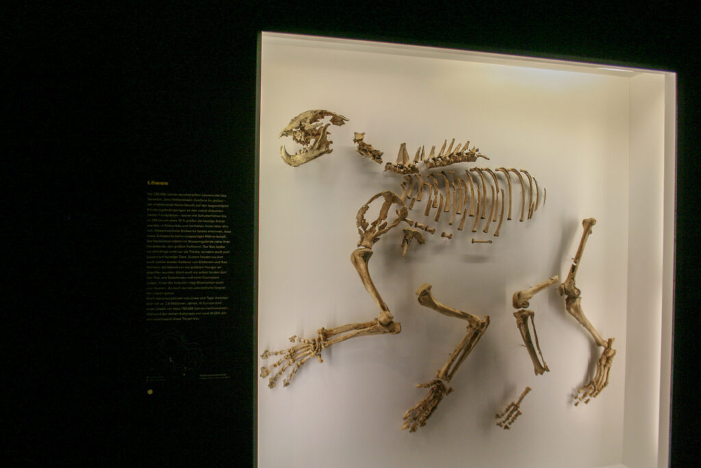 Naturkundemuseum Berlin