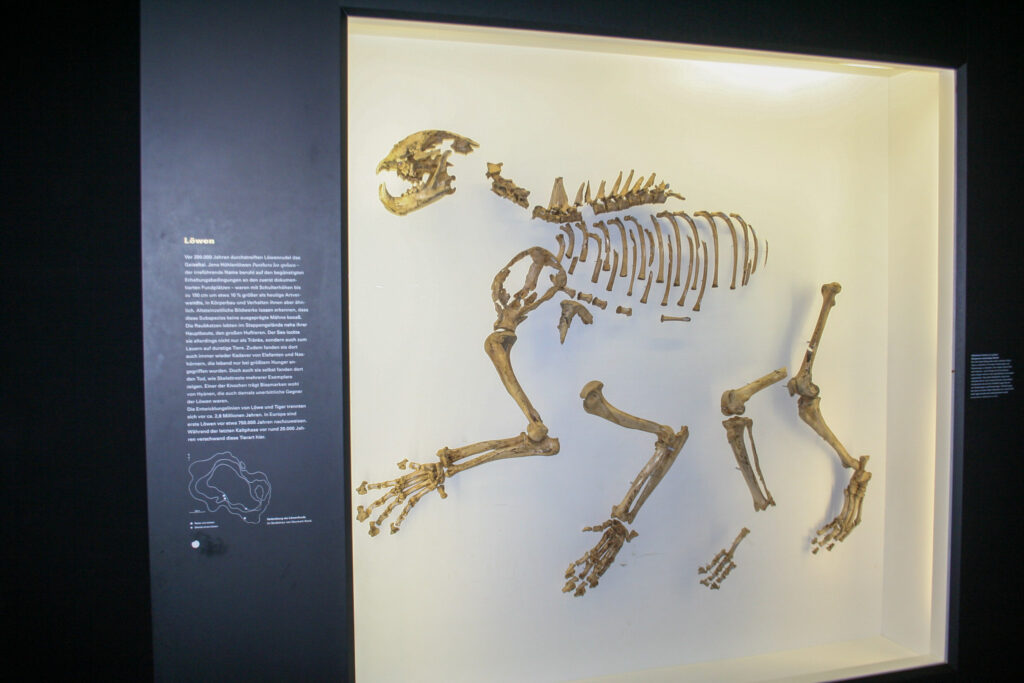 Naturkundemuseum Berlin