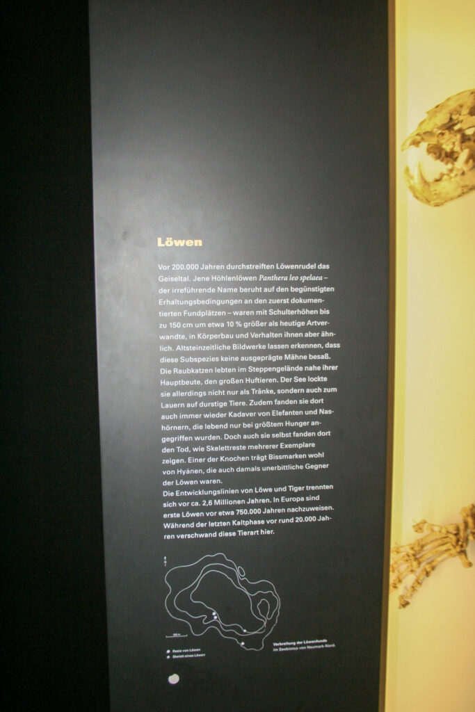 Naturkundemuseum Berlin