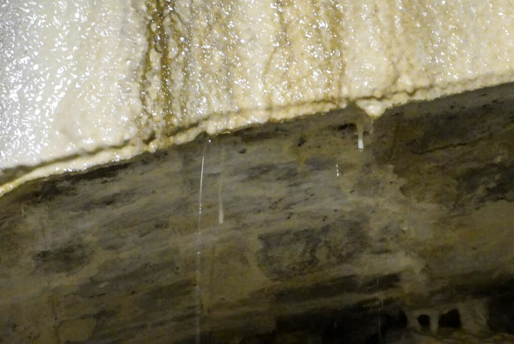 Deutsches Bergbau-Museum Bochum